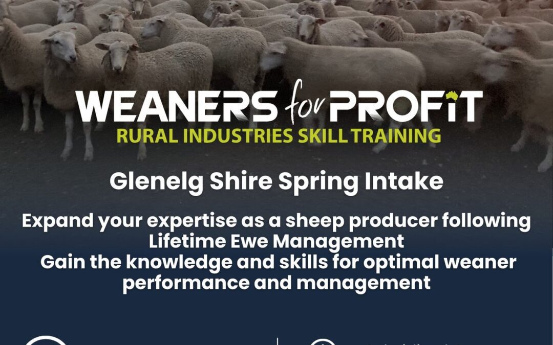 Weaners for Profit Course – Spring Intake