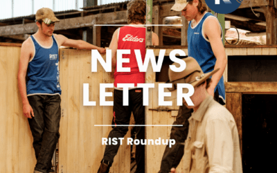 RIST RoundUP 🤝 November Newsletter